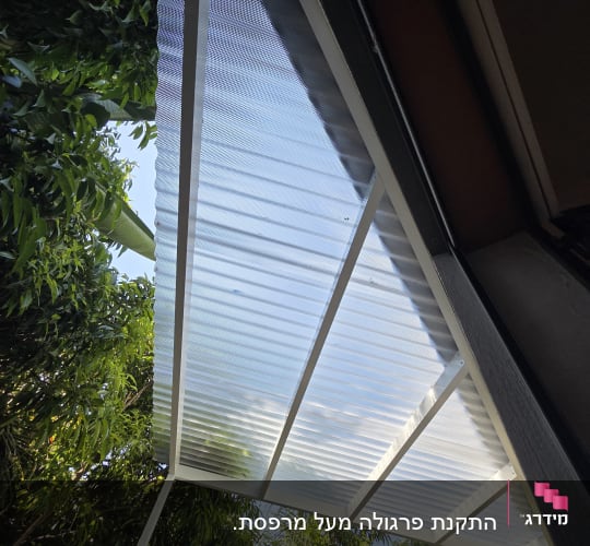 גג אלומיניום מעל צמחייה ירוקה